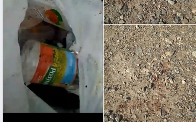 Горожанка нашла труп в пакете (ВИДЕО 18+) Фото № 0 Горожанка нашла труп в пакете (ВИДЕО 18+) Фото № 0