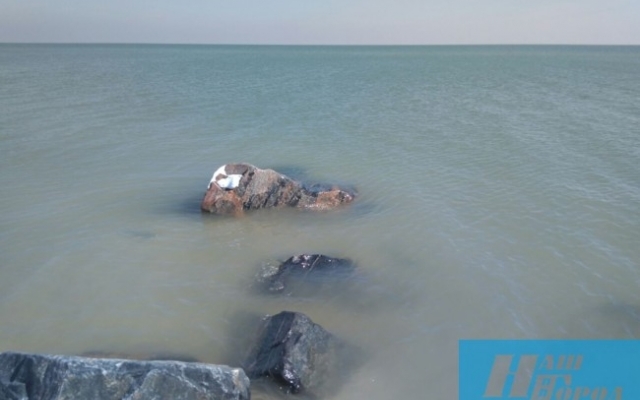 Как выглядит сегодня Азовское море (ФОТО) Фото № 1 Как выглядит сегодня Азовское море (ФОТО) Фото № 1