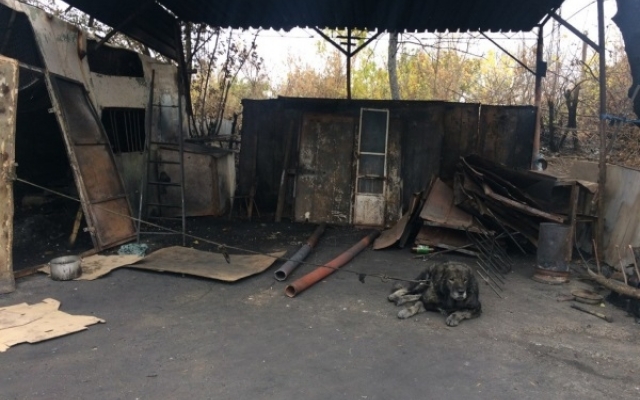 Ночной пожар превратил шиномонтаж и 2 автомобиля в обугленный металлолом Фото № 3 Ночной пожар превратил шиномонтаж и 2 автомобиля в обугленный металлолом Фото № 3