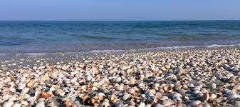 На запорожский курорт надвигается шторм (ВИДЕО) Фото № 0 На запорожский курорт надвигается шторм (ВИДЕО) Фото № 0