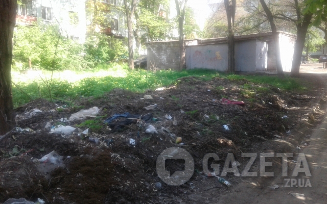 В центре Запорожья несколько лет лежат кучи мусора: Коммунальщики бездействуют (ФОТО) Фото № 1 В центре Запорожья несколько лет лежат кучи мусора: Коммунальщики бездействуют (ФОТО) Фото № 1
