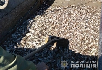 В Запорожской области задержали браконьеров (ФОТО) Фото № 0 В Запорожской области задержали браконьеров (ФОТО) Фото № 0