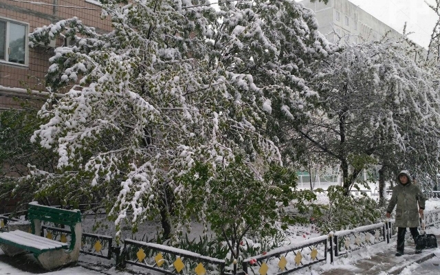 Запорожцы делятся уникальными кадрами стихии в городе Фото № 11 Запорожцы делятся уникальными кадрами стихии в городе Фото № 11