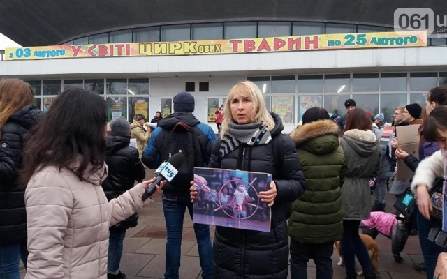 Сегодня несколько десятков запорожцев вышли на митинг (ФОТО) Фото № 7 Сегодня несколько десятков запорожцев вышли на митинг (ФОТО) Фото № 7