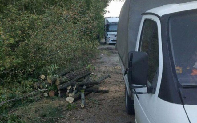 В Запорожье браконьеры рубили деревья (ФОТО) Фото № 0 В Запорожье браконьеры рубили деревья (ФОТО) Фото № 0