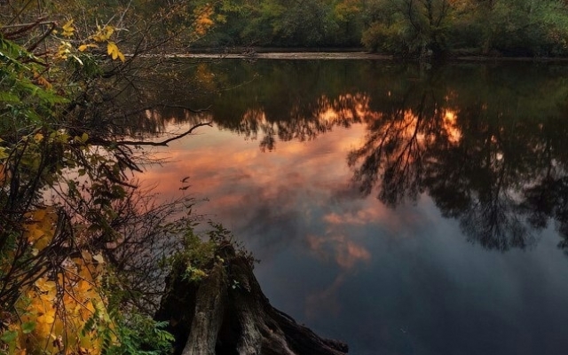 В Сети появились завораживающие снимки осеней Хортицы (ФОТО) Фото № 0 В Сети появились завораживающие снимки осеней Хортицы (ФОТО) Фото № 0