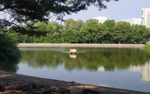 В Запорожской области мужчина нырнул в водоем и исчез: Идут поиски (ФОТО) Фото № 0 В Запорожской области мужчина нырнул в водоем и исчез: Идут поиски (ФОТО) Фото № 0