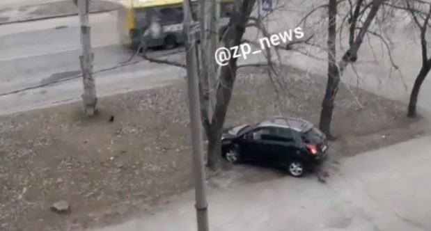 В Хортицком районе ДТП: Автомобиль врезался в дерево (ВИДЕО) Фото № 0 В Хортицком районе ДТП: Автомобиль врезался в дерево (ВИДЕО) Фото № 0