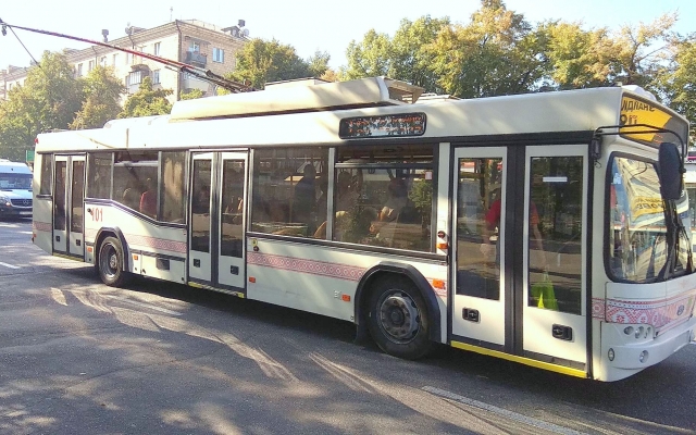 В Запорожье появятся 9 троллейбусов с автономным ходом Фото № 0 В Запорожье появятся 9 троллейбусов с автономным ходом Фото № 0