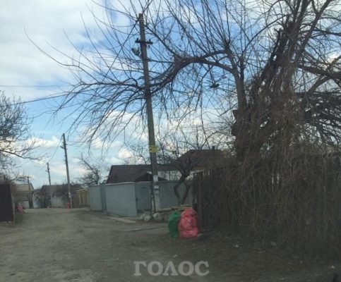 Запорожцы жалуются на Запорожцы жалуются на