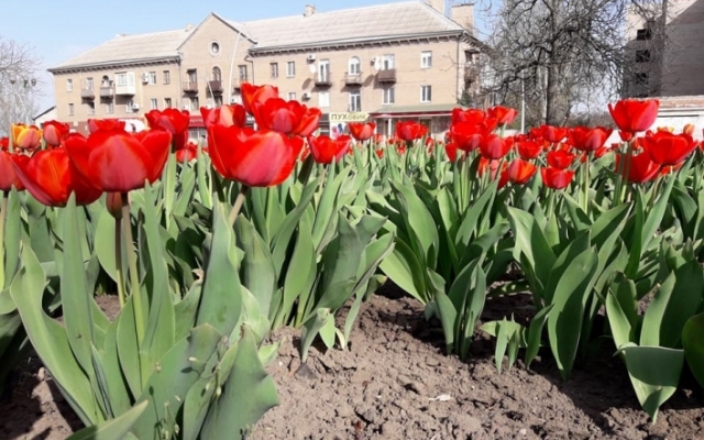 Под Запорожьем обнаружена невероятная красота (ФОТО) Фото № 0 Под Запорожьем обнаружена невероятная красота (ФОТО) Фото № 0