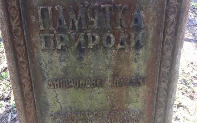 Запорожцы бьют тревогу: В заповедной зоне вырубают десятки деревьев (ФОТО) Фото № 6 Запорожцы бьют тревогу: В заповедной зоне вырубают десятки деревьев (ФОТО) Фото № 6