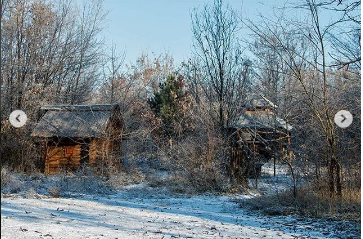 В сети показали фотоподборку дикой природы зимнего Запорожья (ФОТО) Фото № 3 В сети показали фотоподборку дикой природы зимнего Запорожья (ФОТО) Фото № 3