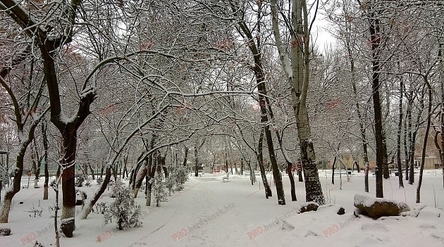 В сети показали удивительную зиму в городском парке (ФОТО) Фото № 2 В сети показали удивительную зиму в городском парке (ФОТО) Фото № 2