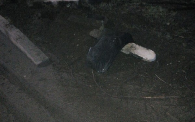 В Шевченковском районе такси врезалось в дерево Фото № 1 В Шевченковском районе такси врезалось в дерево Фото № 1