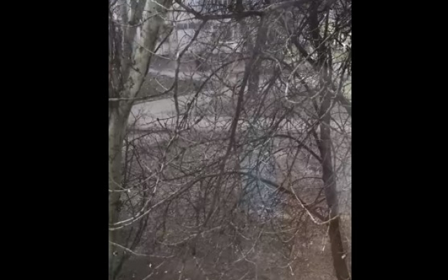 В Запорожье В Запорожье