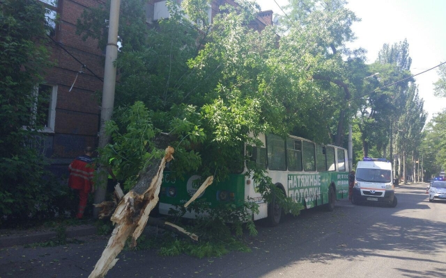 ДТП с пострадавшими на бульваре Шевченко: На троллейбус упало дерево (ФОТО) Фото № 2 ДТП с пострадавшими на бульваре Шевченко: На троллейбус упало дерево (ФОТО) Фото № 2