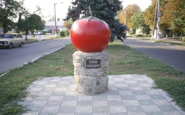 Аграриям из Запорожской области запретили сажать продукцию Фото № 0 Аграриям из Запорожской области запретили сажать продукцию Фото № 0