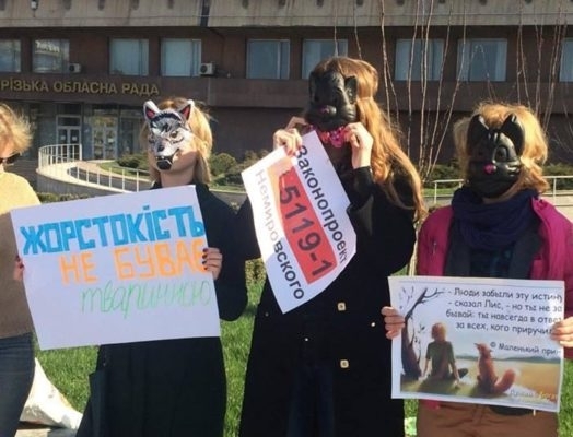 В Запорожье митинговали за тюрьму для живодеров Фото № 0 В Запорожье митинговали за тюрьму для живодеров Фото № 0