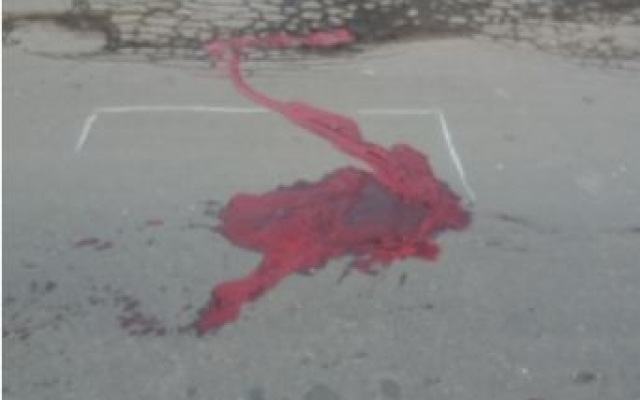 В Запорожской области случилось трагическое ДТП (ФОТО) Фото № 0 В Запорожской области случилось трагическое ДТП (ФОТО) Фото № 0