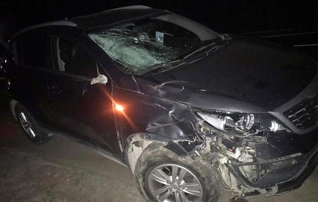 В Запорожской области «Кiа Sportage» насмерть сбила велосипедиста Фото № 0 В Запорожской области «Кiа Sportage» насмерть сбила велосипедиста Фото № 0