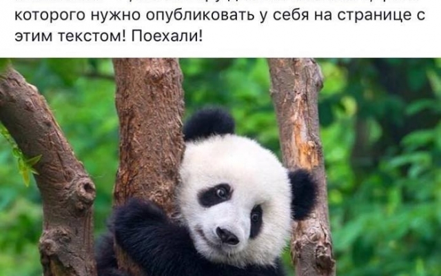 Запорожцы присоединились к всеукраинской акции протеста (ФОТО) Фото № 0 Запорожцы присоединились к всеукраинской акции протеста (ФОТО) Фото № 0