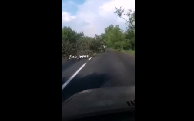 В Запорожской области бушевала непогода: На дорогах повсеместно лежат деревья (ВИДЕО) Фото № 0 В Запорожской области бушевала непогода: На дорогах повсеместно лежат деревья (ВИДЕО) Фото № 0