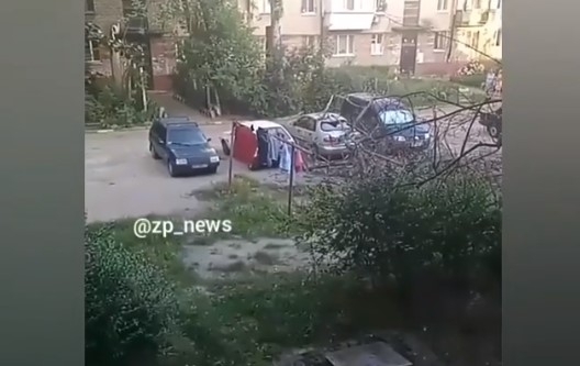 В одном из дворов Запорожья дерево рухнуло на автомобиль (ВИДЕО) Фото № 0 В одном из дворов Запорожья дерево рухнуло на автомобиль (ВИДЕО) Фото № 0