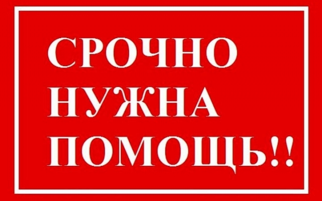 В Запорожской области нужна помощь двум девочкам 12-ти лет Фото № 0