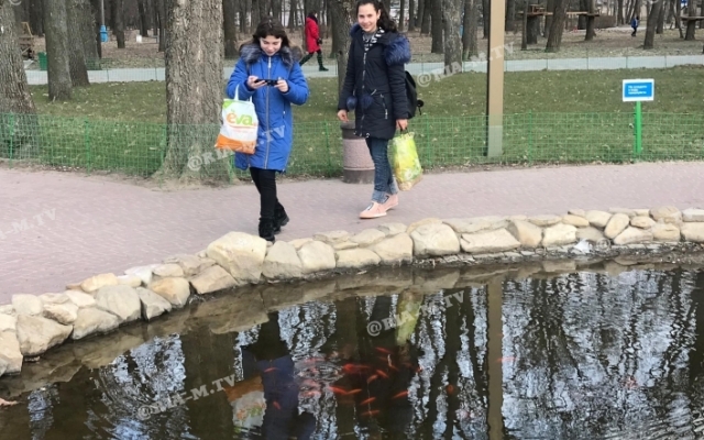 В пруду в Запорожской области живут экзотические рыбы (ВИДЕО) Фото № 0 В пруду в Запорожской области живут экзотические рыбы (ВИДЕО) Фото № 0