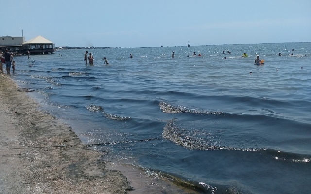 Как сегодня выглядят пляжи Бердянска (ФОТО) Фото № 7 Как сегодня выглядят пляжи Бердянска (ФОТО) Фото № 7