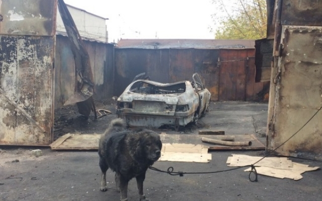 Ночной пожар превратил шиномонтаж и 2 автомобиля в обугленный металлолом Фото № 0 Ночной пожар превратил шиномонтаж и 2 автомобиля в обугленный металлолом Фото № 0