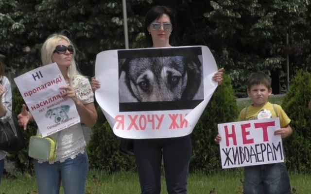 В Запорожье митинговали против издевательства над животными (ФОТО) Фото № 0 В Запорожье митинговали против издевательства над животными (ФОТО) Фото № 0