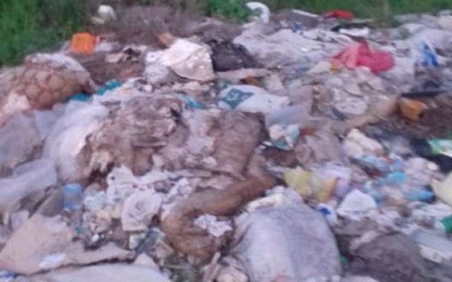 На окраине Запорожья обнаружены мешки с гниющими овощами (ФОТО) Фото № 2 На окраине Запорожья обнаружены мешки с гниющими овощами (ФОТО) Фото № 2