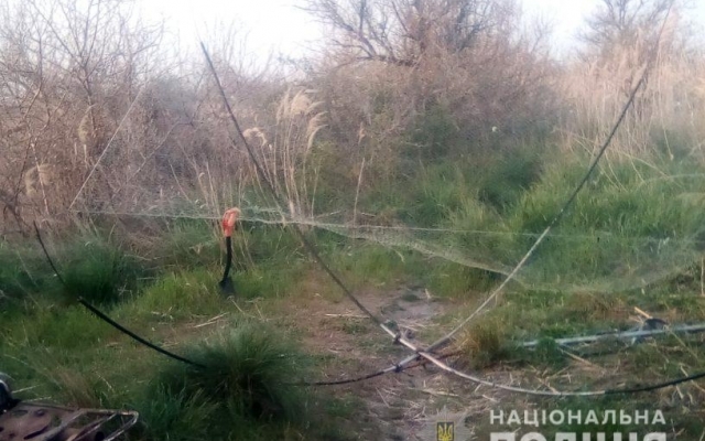 В Запорожской области задержали рыбаков, которые ловили краснокнижную рыбу Фото № 0 В Запорожской области задержали рыбаков, которые ловили краснокнижную рыбу Фото № 0