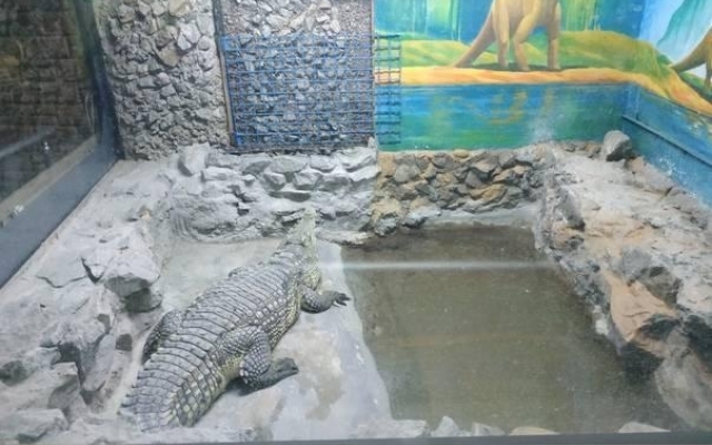 В Запорожье показали В Запорожье показали