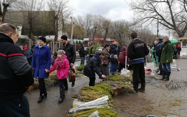 Фоторепортаж: Как прошло Вербное воскресенье в Запорожье Фото № 3 Фоторепортаж: Как прошло Вербное воскресенье в Запорожье Фото № 3