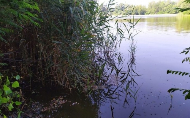 В Запорожской области мужчина нырнул в водоем и исчез: Идут поиски (ФОТО) Фото № 2 В Запорожской области мужчина нырнул в водоем и исчез: Идут поиски (ФОТО) Фото № 2