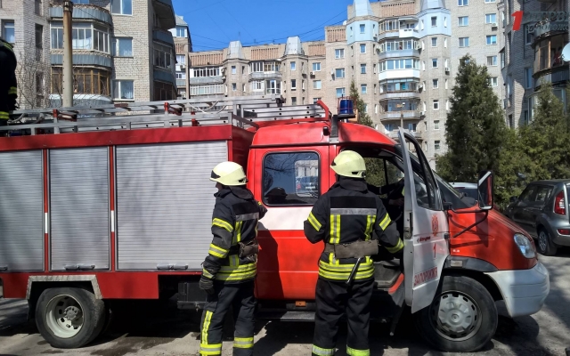 Сегодня в Запорожье спасатели вызволяли собаку (ФОТО) Фото № 2 Сегодня в Запорожье спасатели вызволяли собаку (ФОТО) Фото № 2