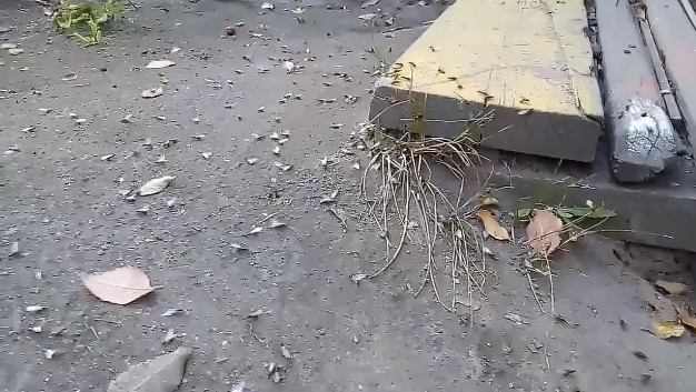 В запорожской