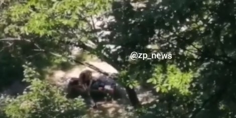 В Запорожье наркоман кололся прямо на детской площадке (ВИДЕО) Фото № 0 В Запорожье наркоман кололся прямо на детской площадке (ВИДЕО) Фото № 0