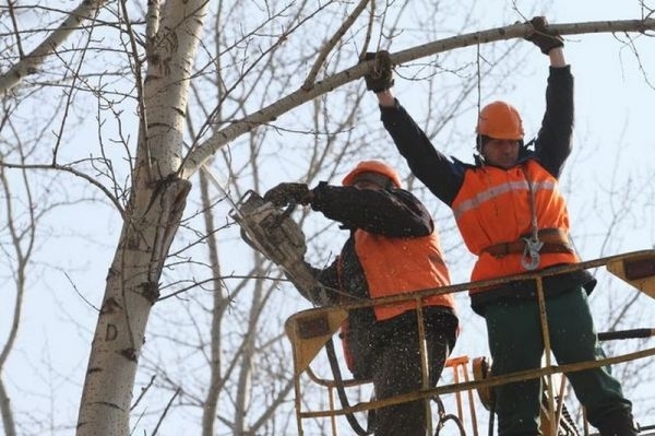 ЧП: Запорожские коммунальщики упали с вышки, обрезая деревья Фото № 0 ЧП: Запорожские коммунальщики упали с вышки, обрезая деревья Фото № 0
