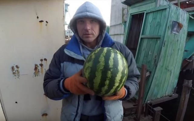 В Запорожье друзья-экстремалы В Запорожье друзья-экстремалы