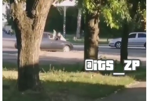 Курьезы: По Запорожью разъезжал мужчина, лежа на капоте авто (ВИДЕО) Фото № 0