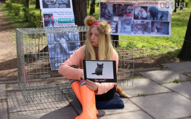 Сегодня в Запорожье прошел необычный митинг Фото № 12 Сегодня в Запорожье прошел необычный митинг Фото № 12