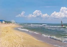 На берегу Азовского моря обнаружили неприятную находку (ВИДЕО) Фото № 0 На берегу Азовского моря обнаружили неприятную находку (ВИДЕО) Фото № 0