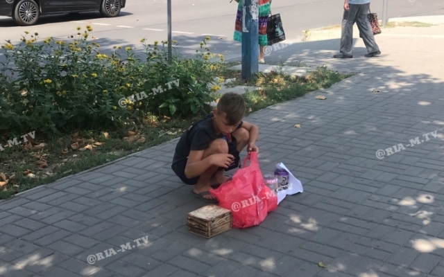 В Запорожской области юный предприниматель ведет свой В Запорожской области юный предприниматель ведет свой