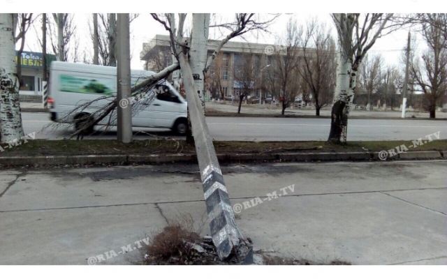 В Запорожской области столб повис на ветках над головами людей (ФОТО) Фото № 2 В Запорожской области столб повис на ветках над головами людей (ФОТО) Фото № 2