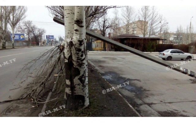 В Запорожской области столб повис на ветках над головами людей (ФОТО) Фото № 5 В Запорожской области столб повис на ветках над головами людей (ФОТО) Фото № 5