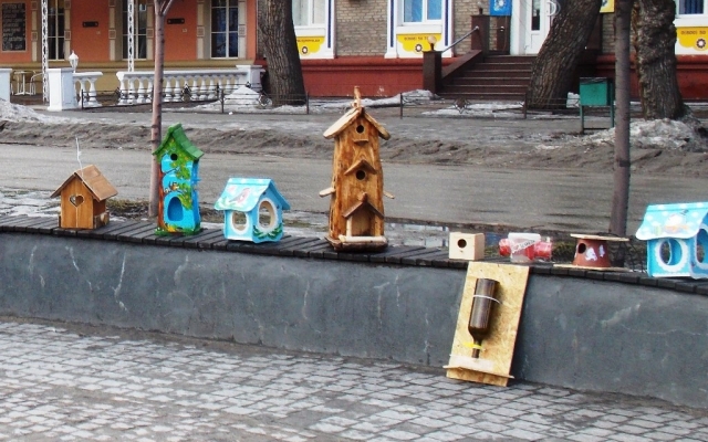 В Запорожье выбирали лучшую кормушку для птиц Фото № 2 В Запорожье выбирали лучшую кормушку для птиц Фото № 2